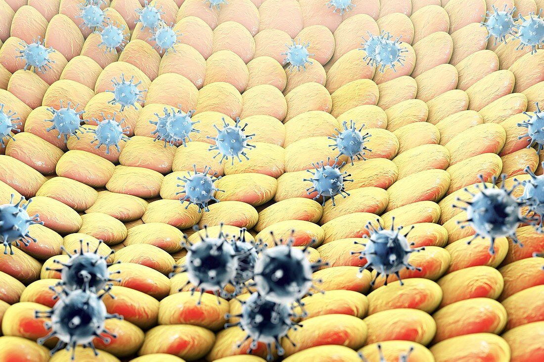 Viruses infecting cells,illustration