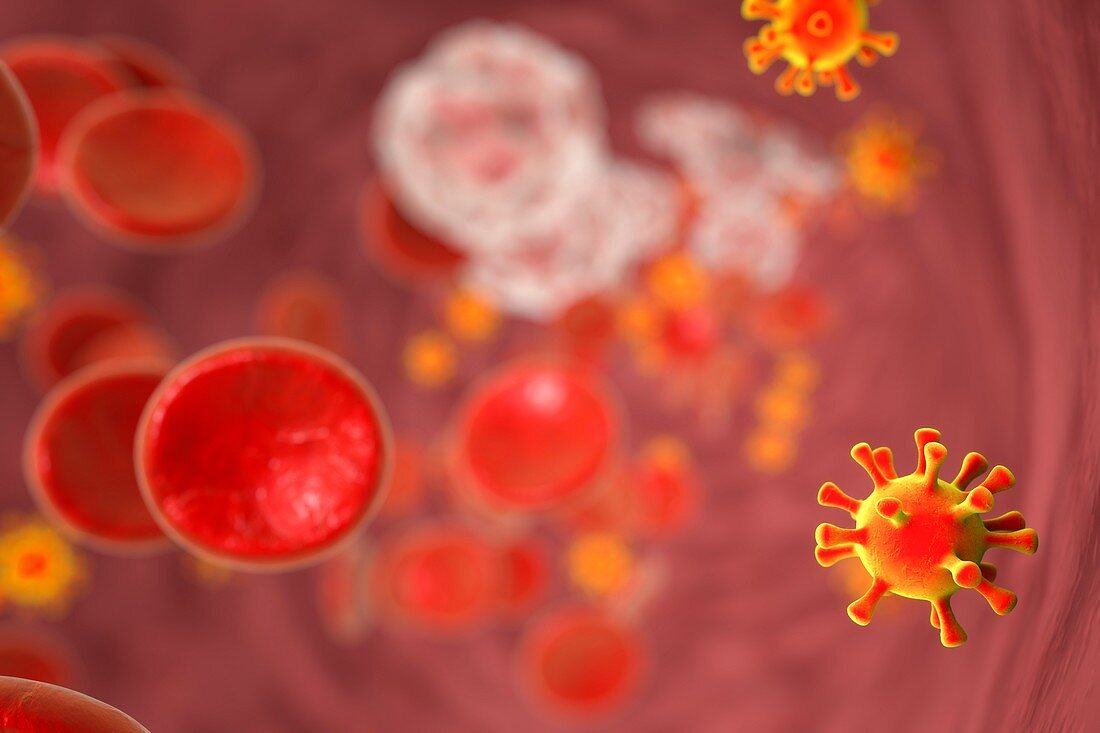 HIV in blood,illustration