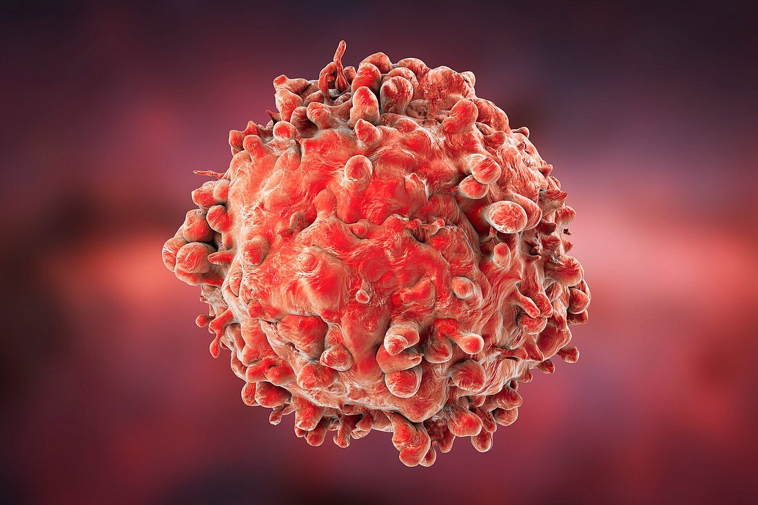 Leukaemia blood cell,illustration