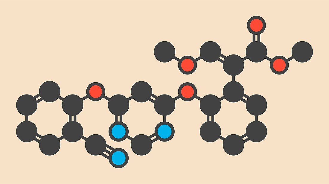 Azoxystrobin fungicide molecule
