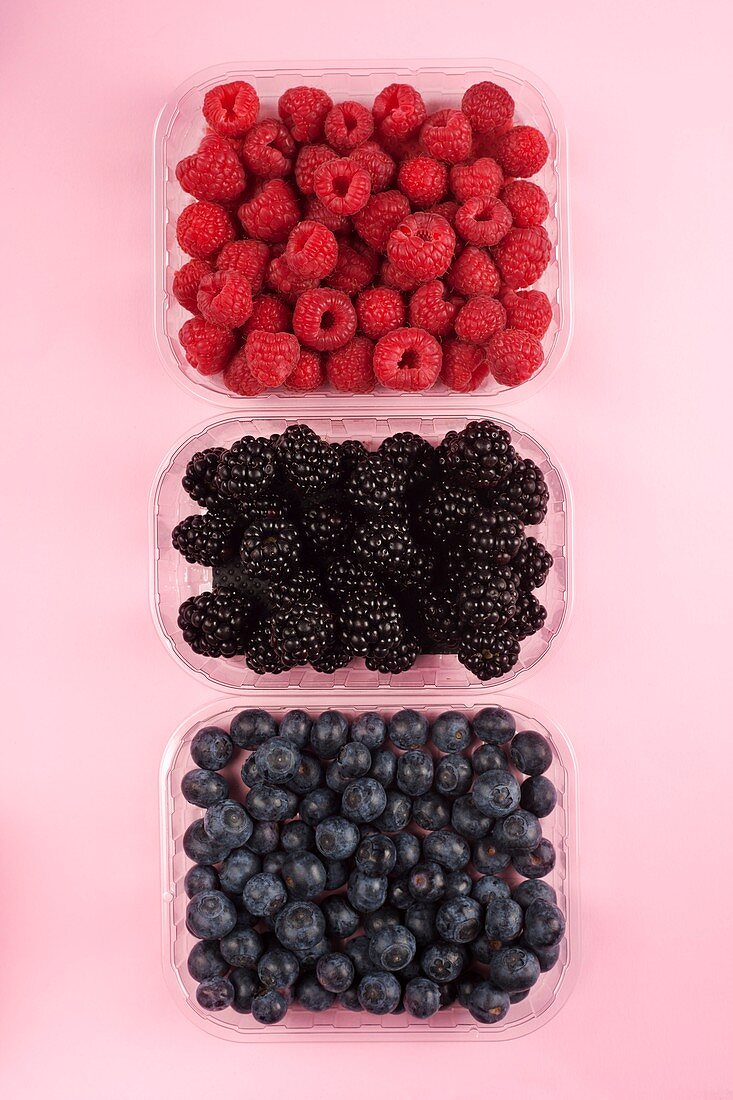 Fresh berries,studio shot
