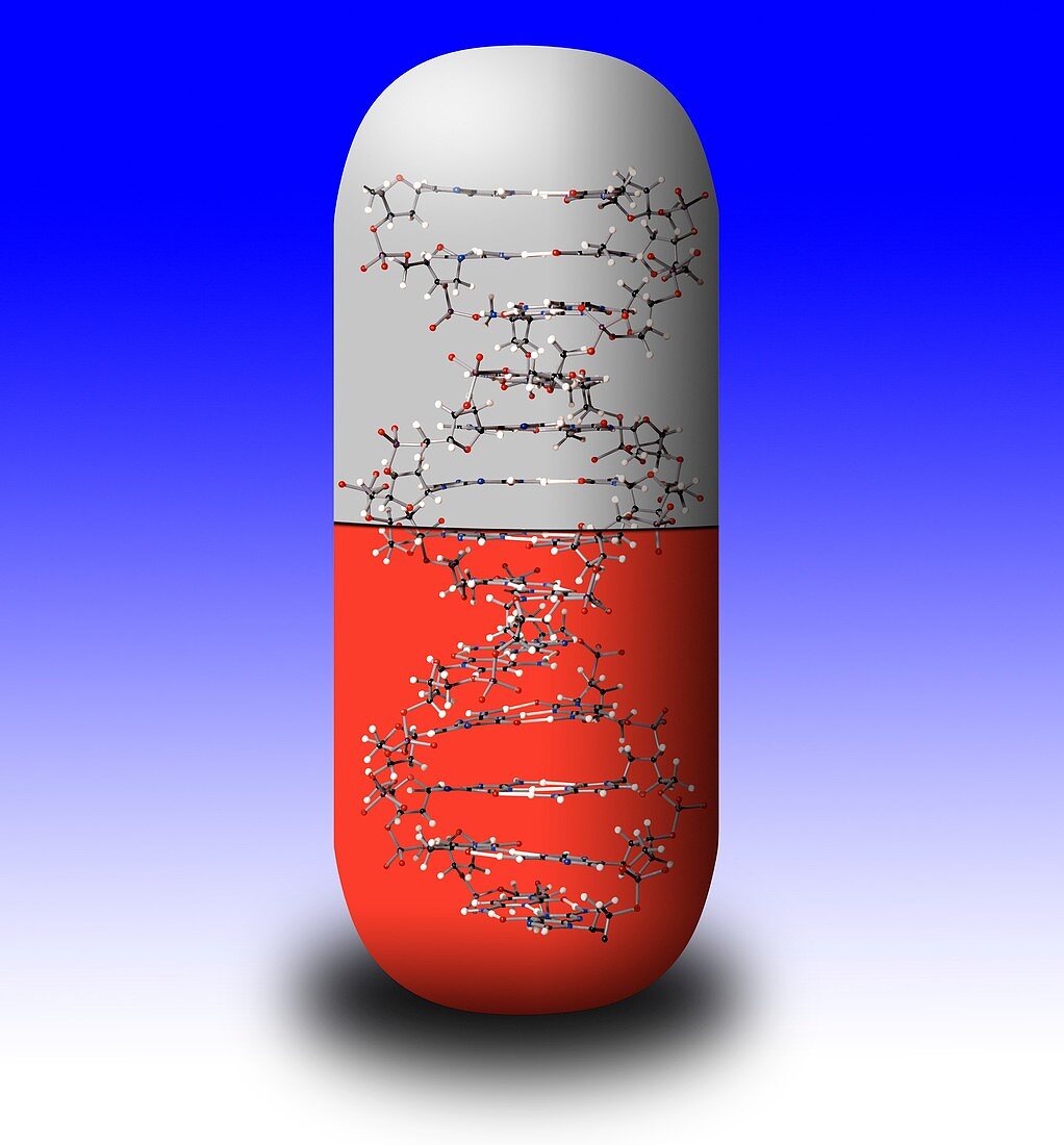 Capsule with molecular models
