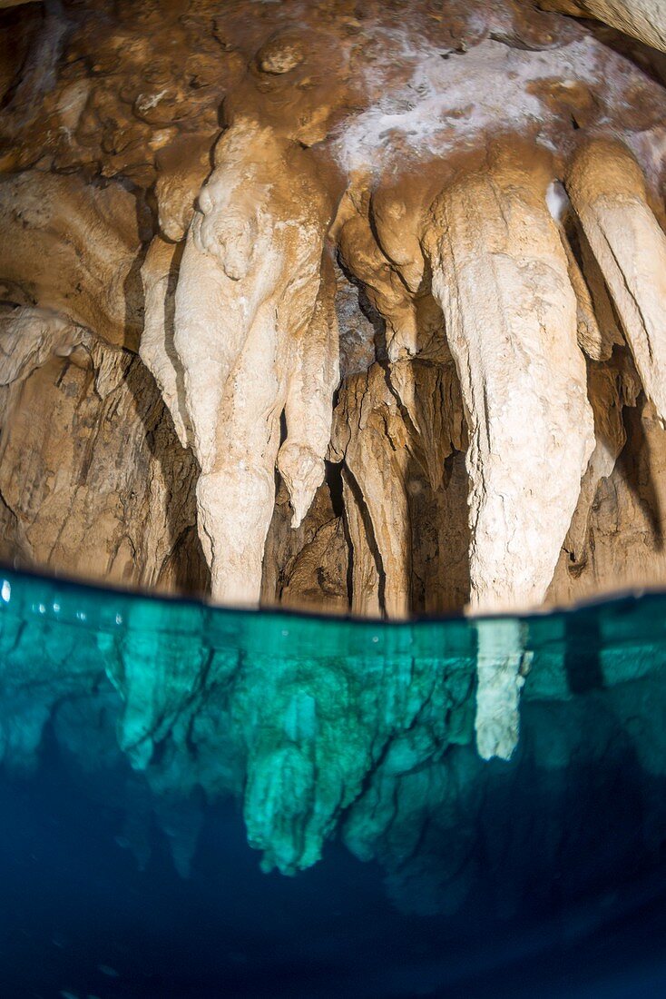 Chandelier Cave,Palau