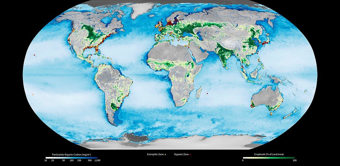 Coastal dead zones,global satellite map