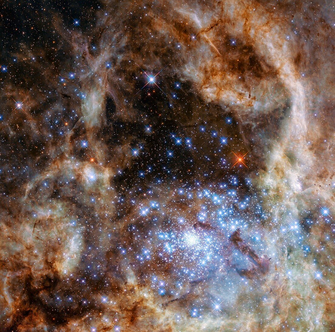 R136 star cluster,HST image