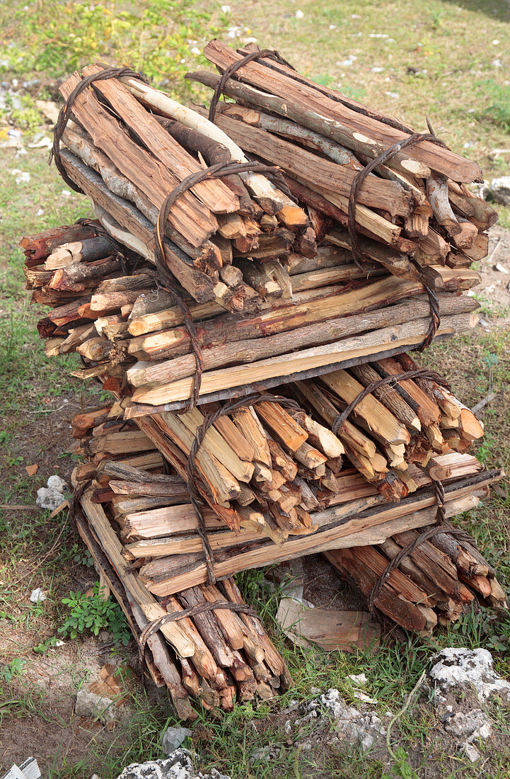 Firewood for sale,Zanzibar