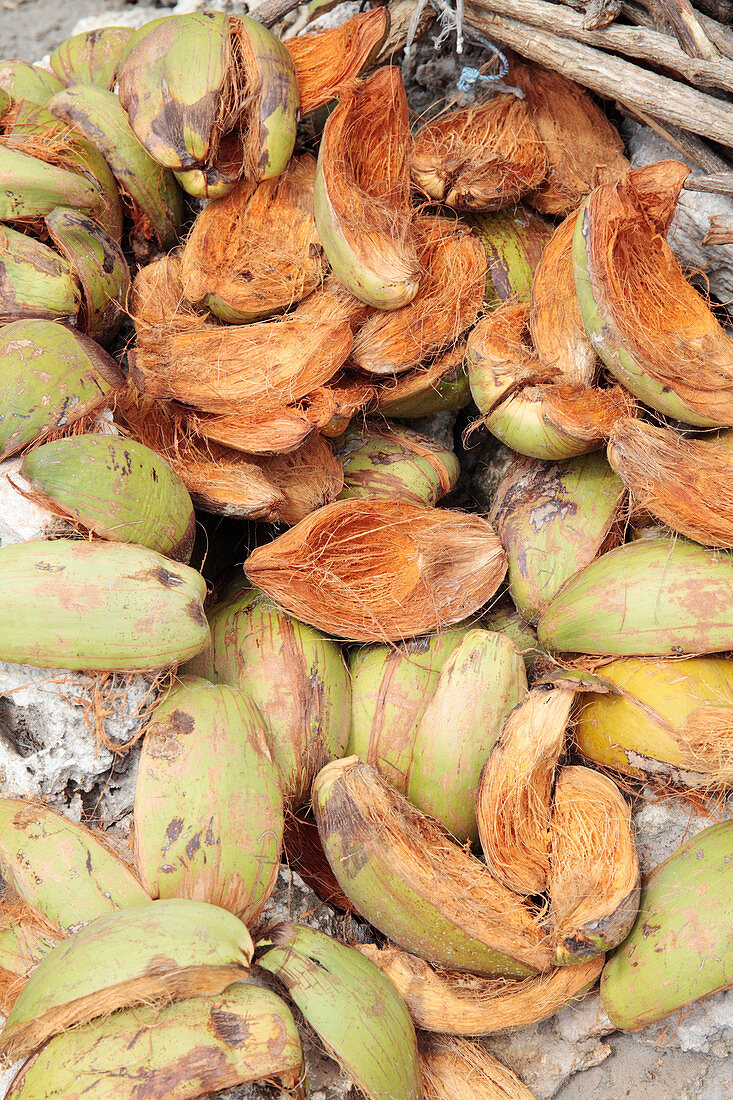 Coconut fibre production,Zanzibar