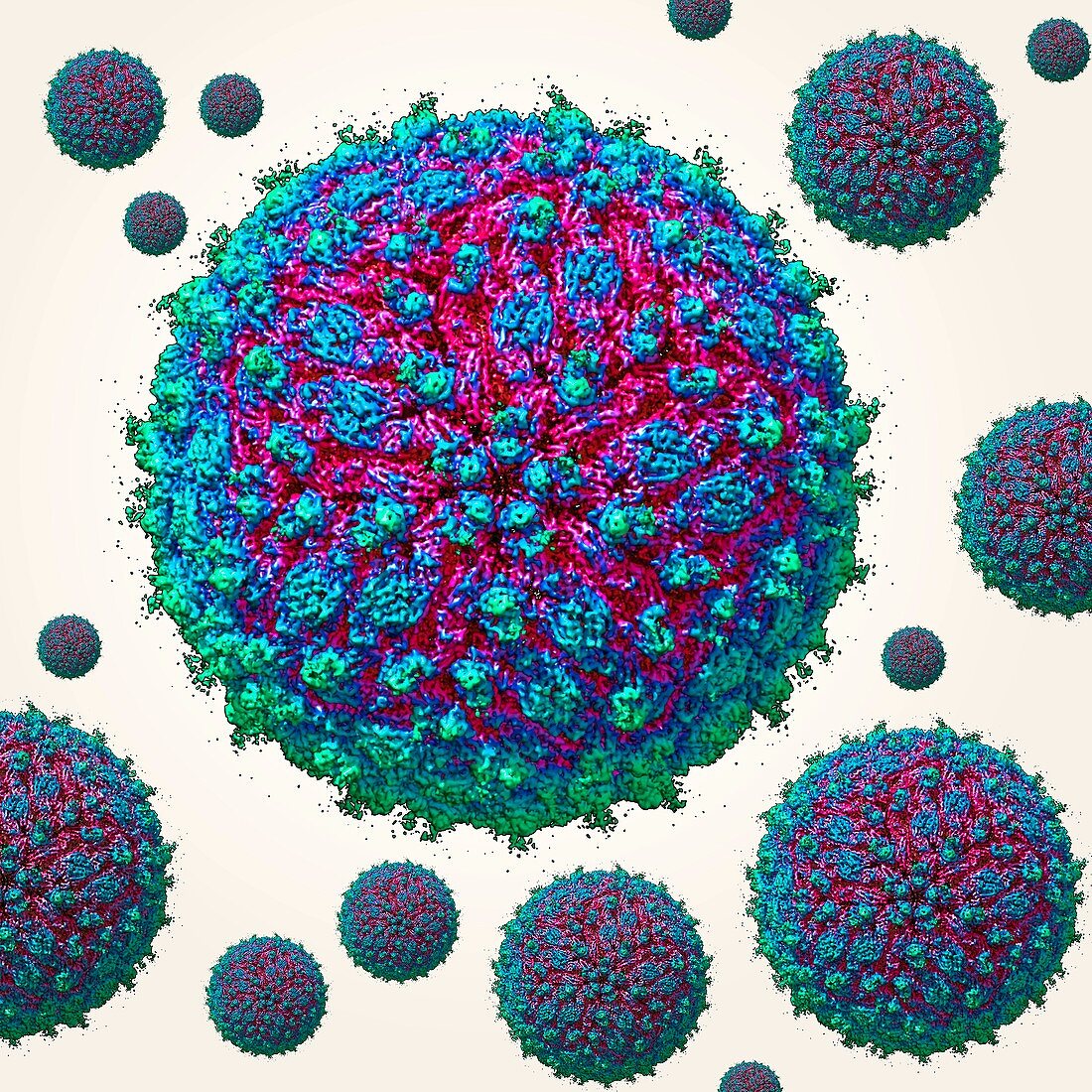 Zika virus particles,molecular model
