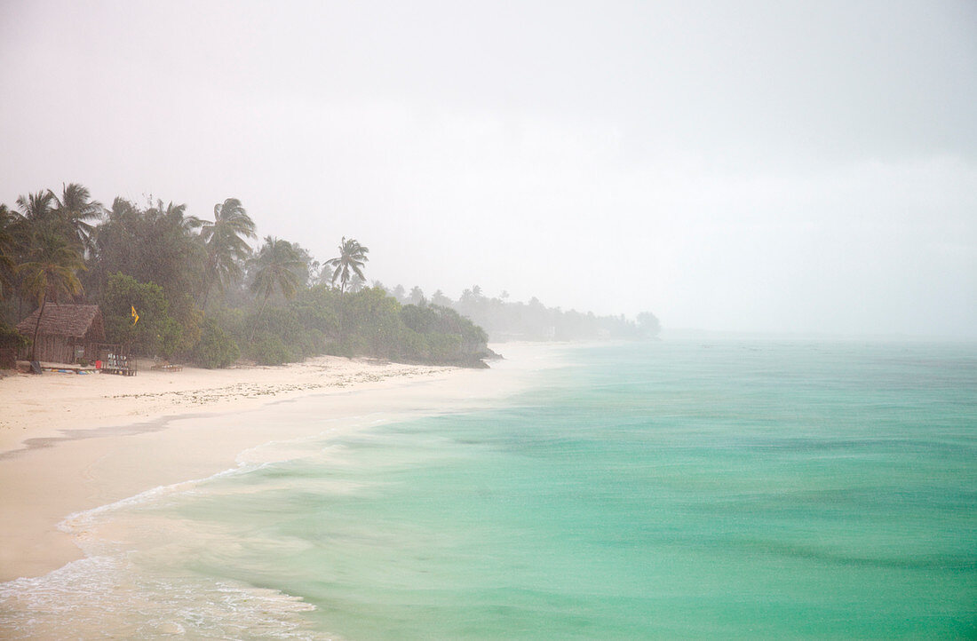 Tropical rainstorm