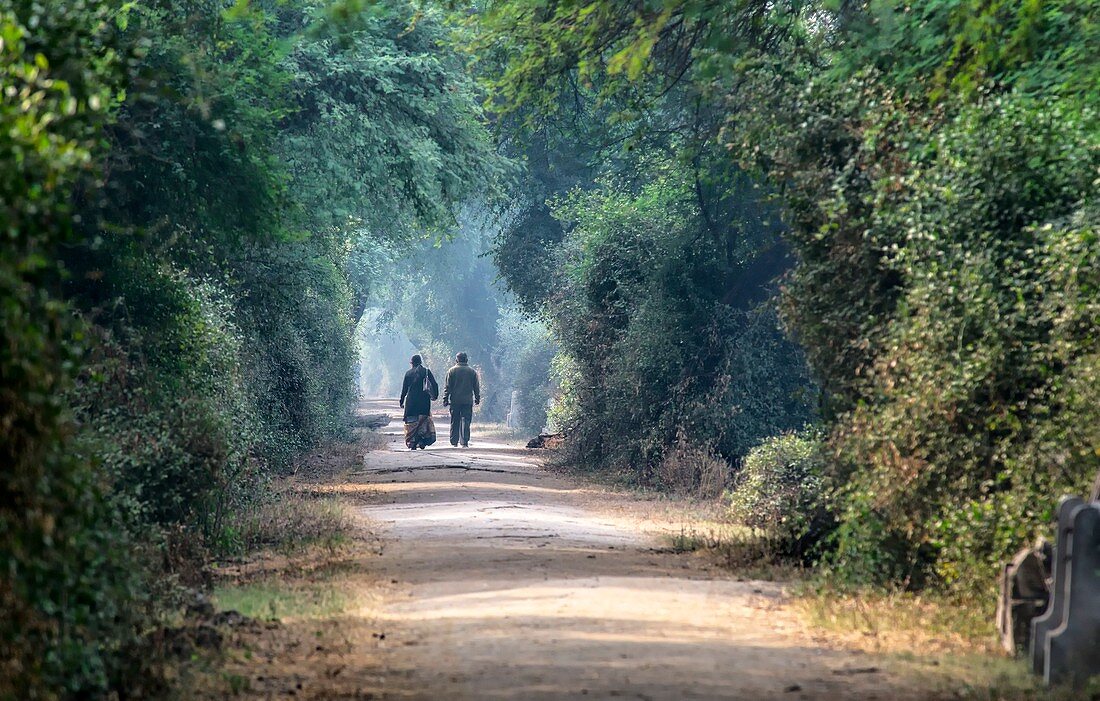 Couple walking along misty path