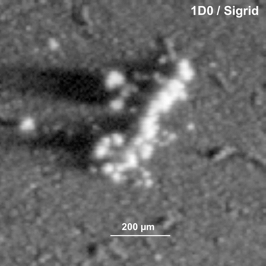 Comet Churyumov-Gerasimenko dust