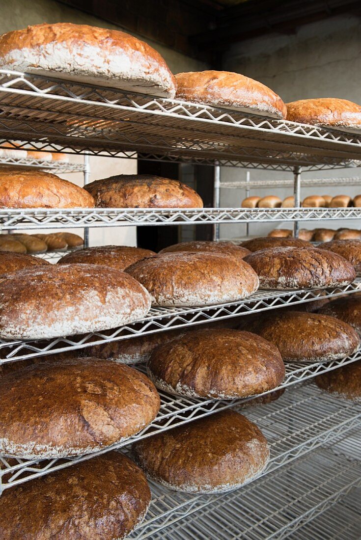 Verschiedene Brote auf Metallregalen in einer Bäckerei