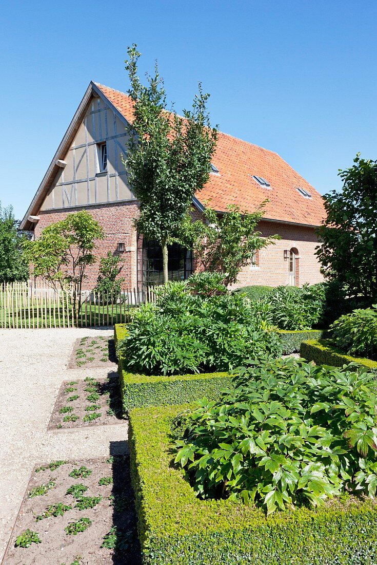 Square flowerbeds edged with box hedges outside house