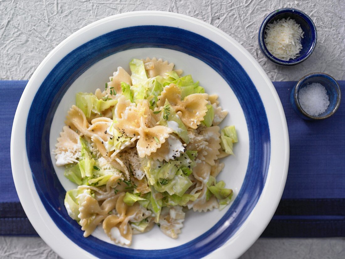 Farfalle pasta with pointed white cabbage in creamy Parmesan sauce