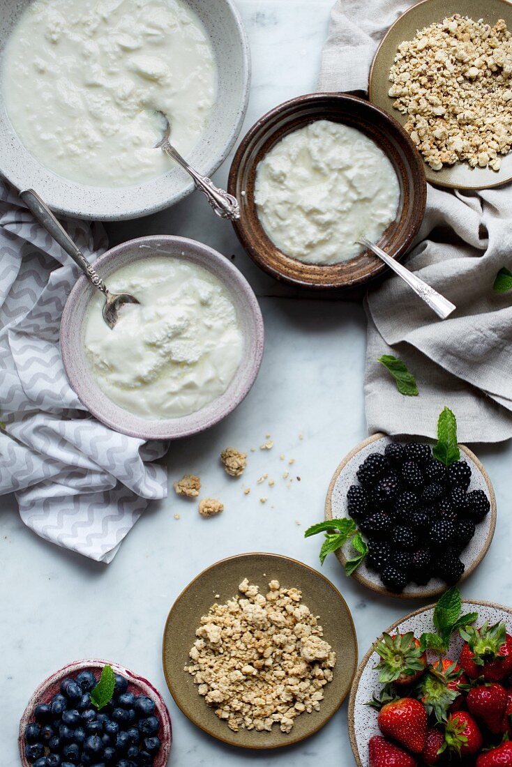 Joghurt in Schälchen, frische Beeren und Granola