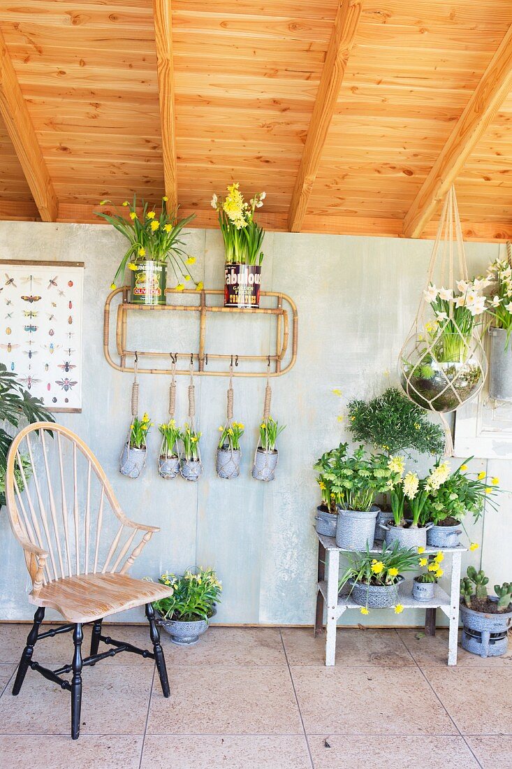 Spring flowering plants in hanging baskets and vintage pots in summer house