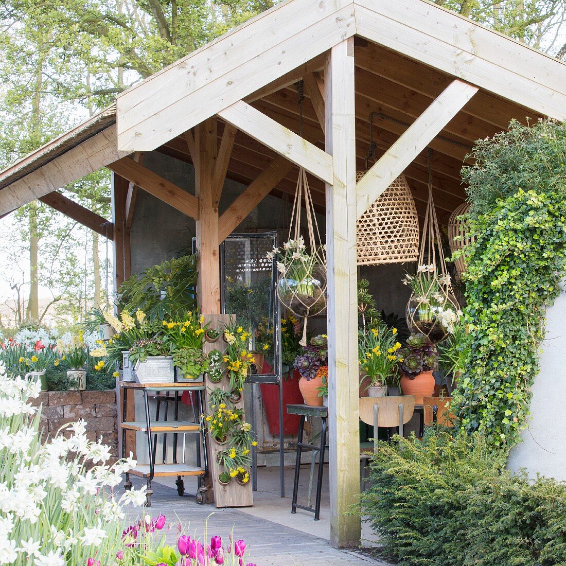 Blick in halboffenes Gartenhaus mit verschiedenen Topfpflanzen und Blumenampeln