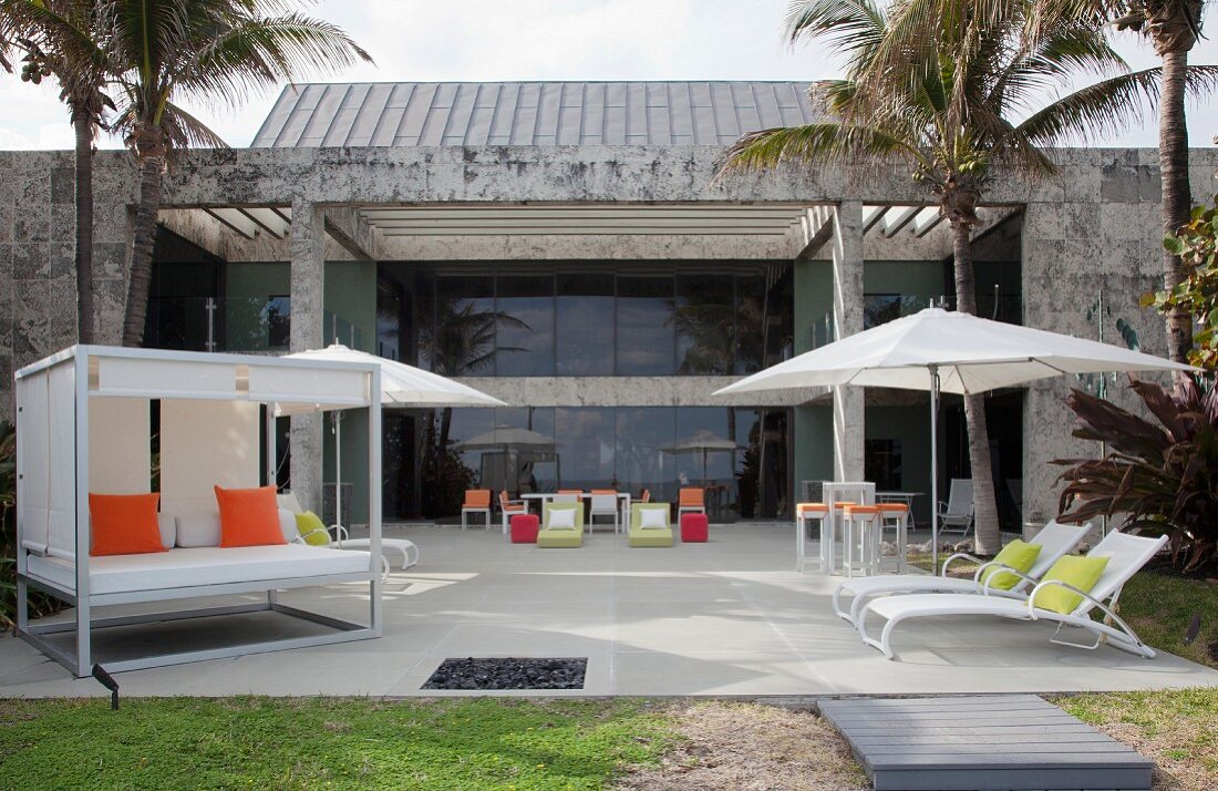 Various loungers below palm trees on modern terrace