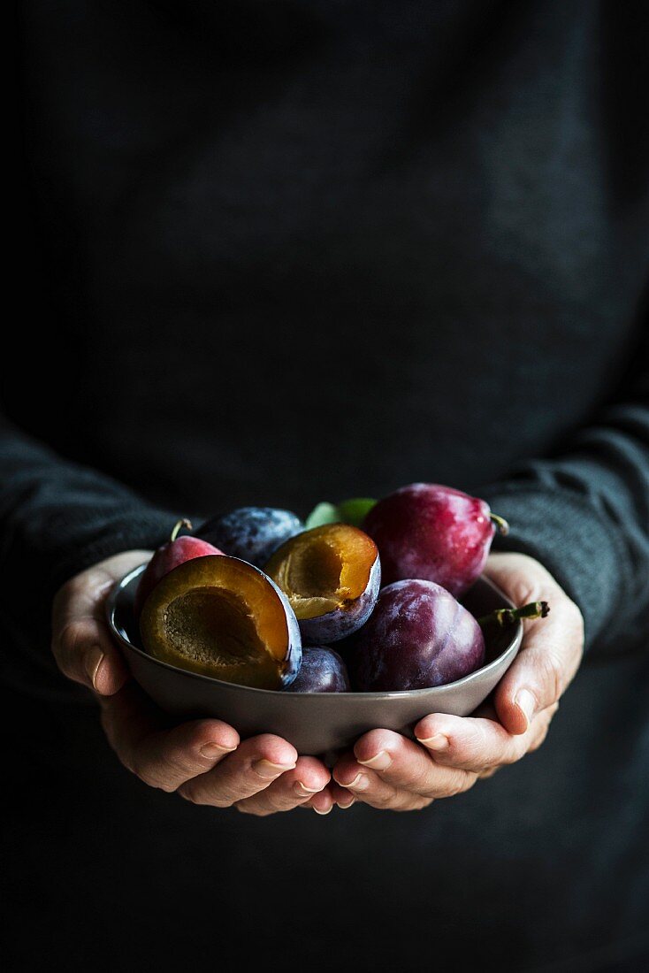 Hands holding a bowl of fresh plums