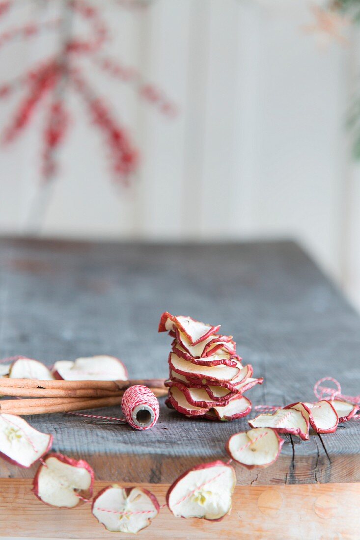 Hand-crafted garland of dried apple slices
