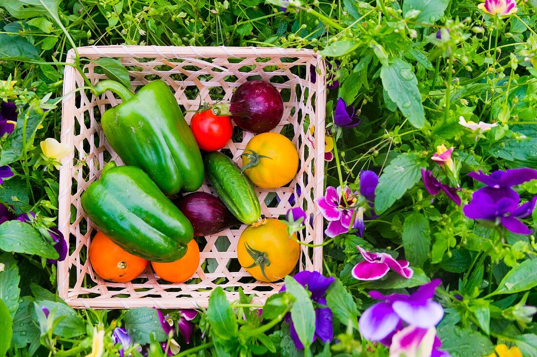 A basket of fresh garden vegetables in the middle of a flowerbed