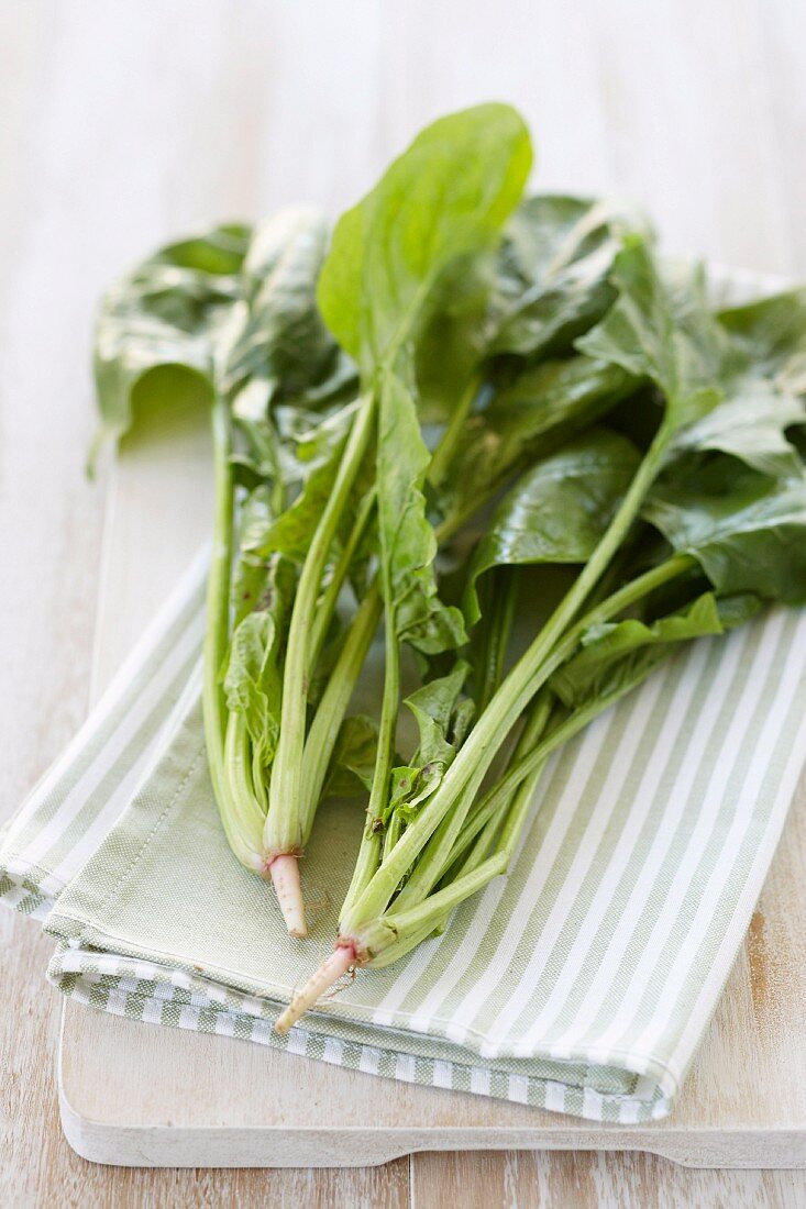 English Spinach