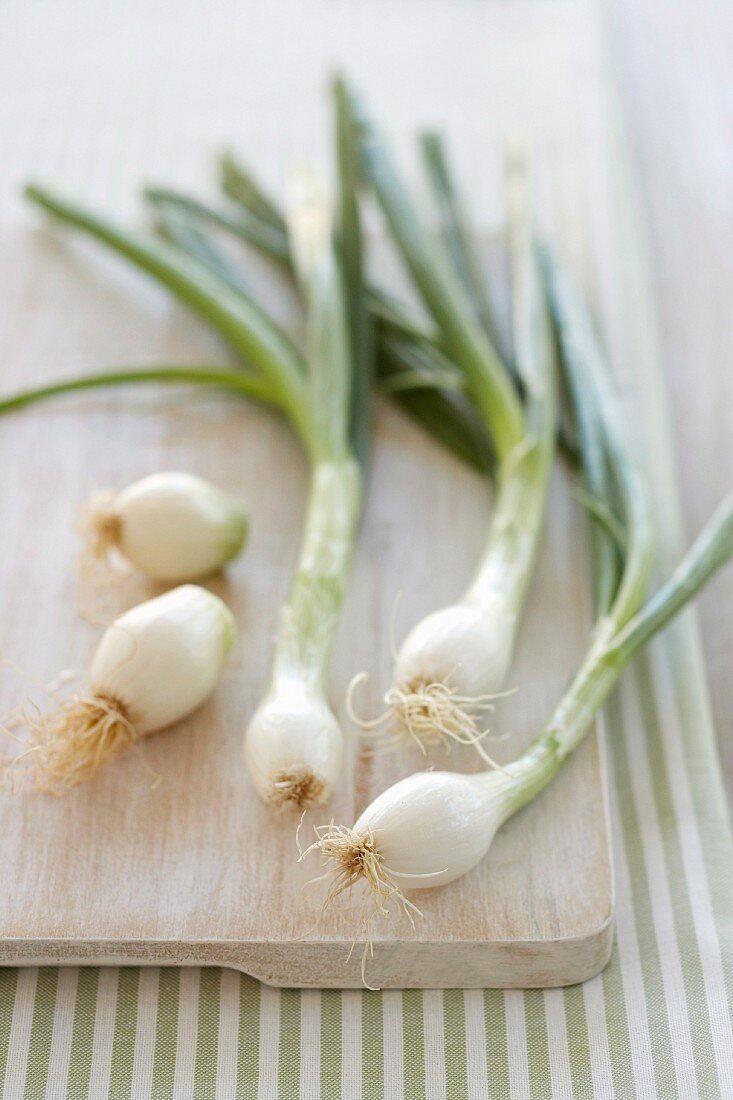 Spring Onions