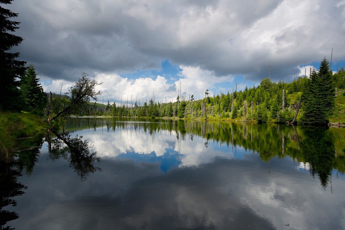 The Reschbachklause water reservoir in the Bavarian Forest Nation Park, Germany