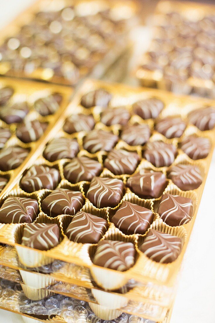 Chocolate pralines in gold trays