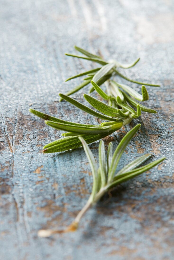 Fresh rosemary on a blue surface