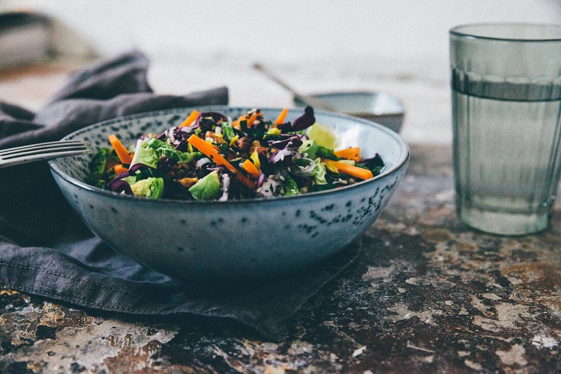 Rotkohlsalat mit Möhren und Rosenkohl