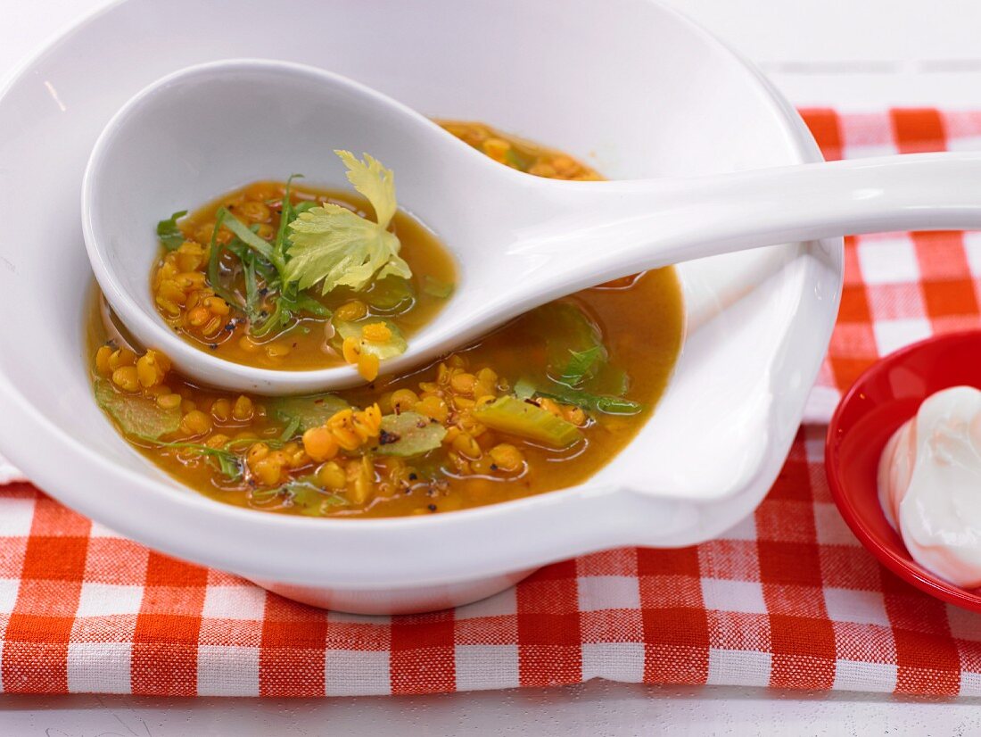 Lentil soup with curry and celery