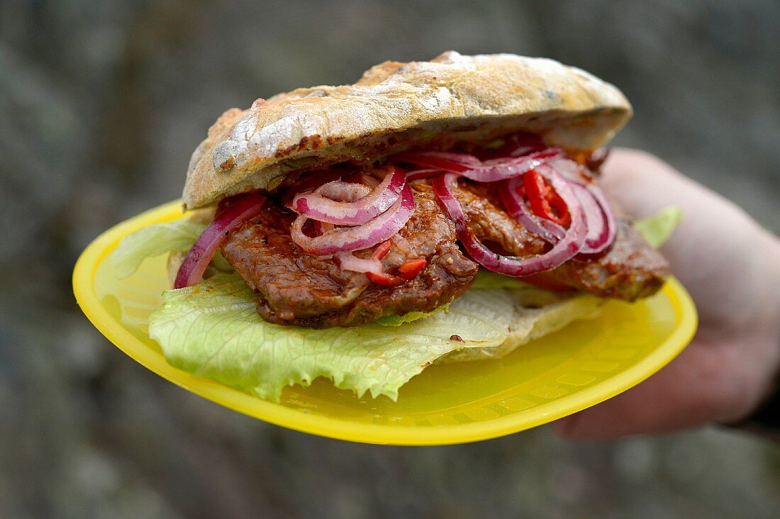 A steak sandwich with pickled red onion