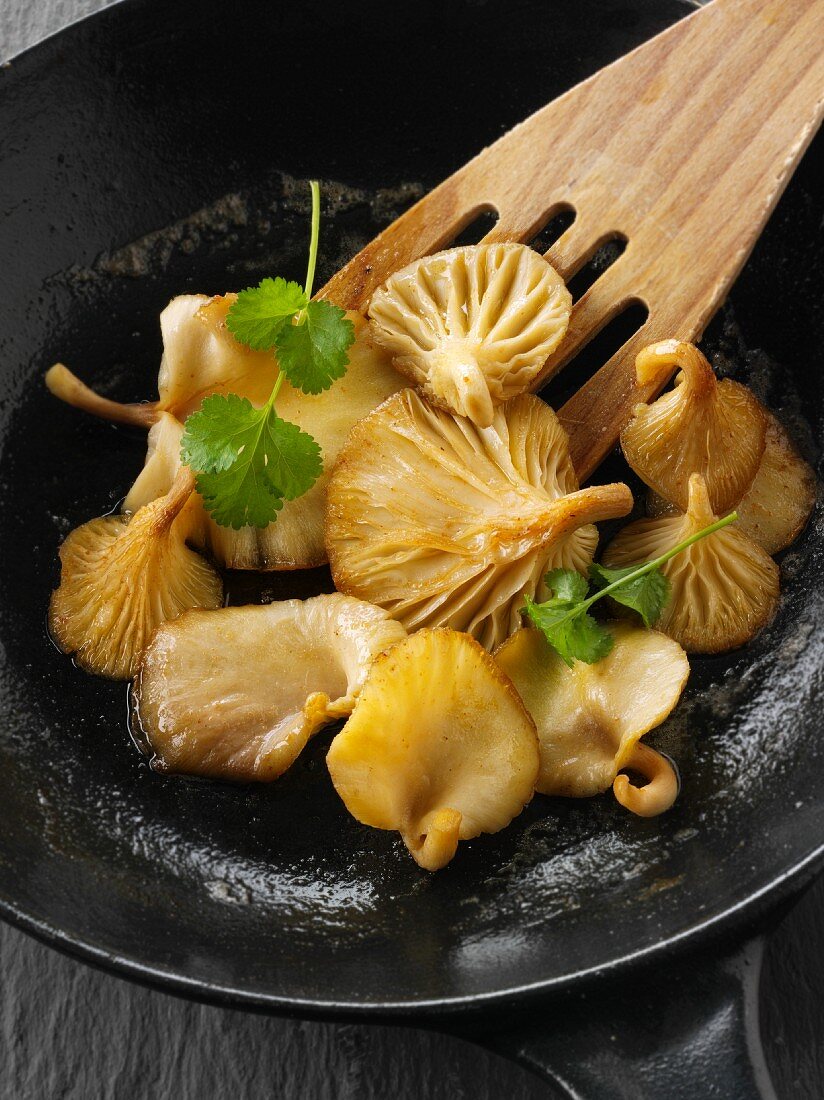 Yellow oyster mushrooms sautéed in butter in a frying pan