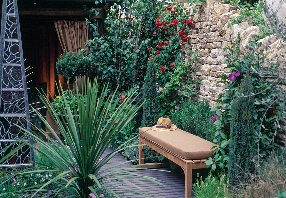 Bench in front of stone wall with rose and clematis