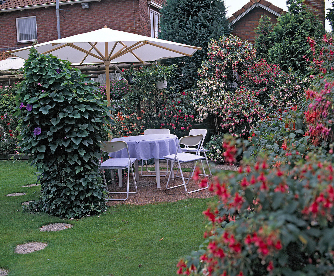 Seat with parasol