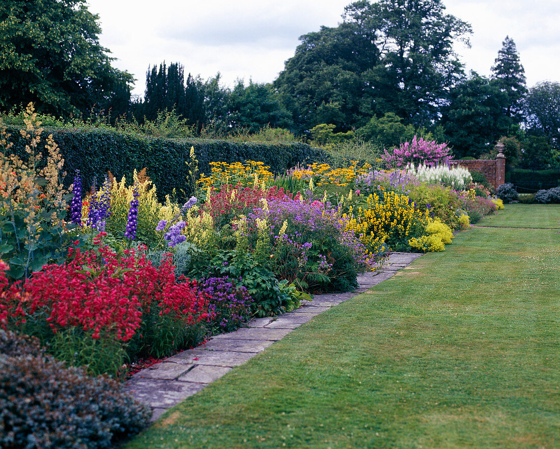 Perennial border with Penstemon, Delphinium, Lysimachia