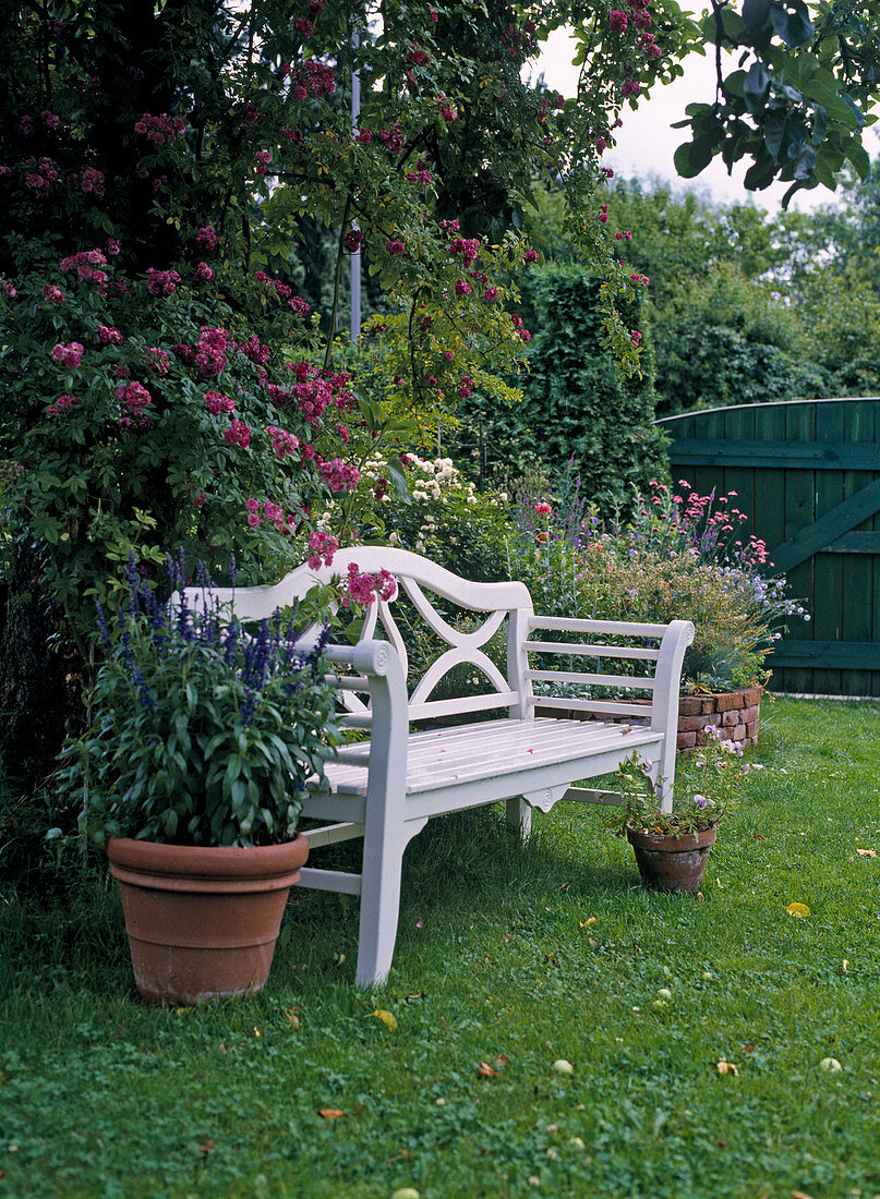 Garden bench