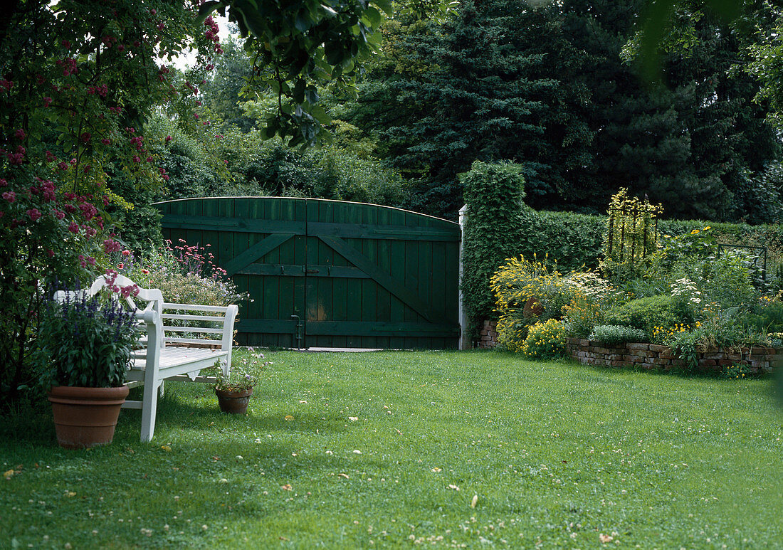 Garden with lawn and patio