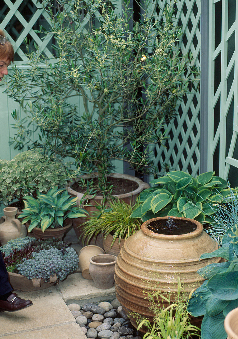 Wasserspiel, Hosta, Carex, Aloe