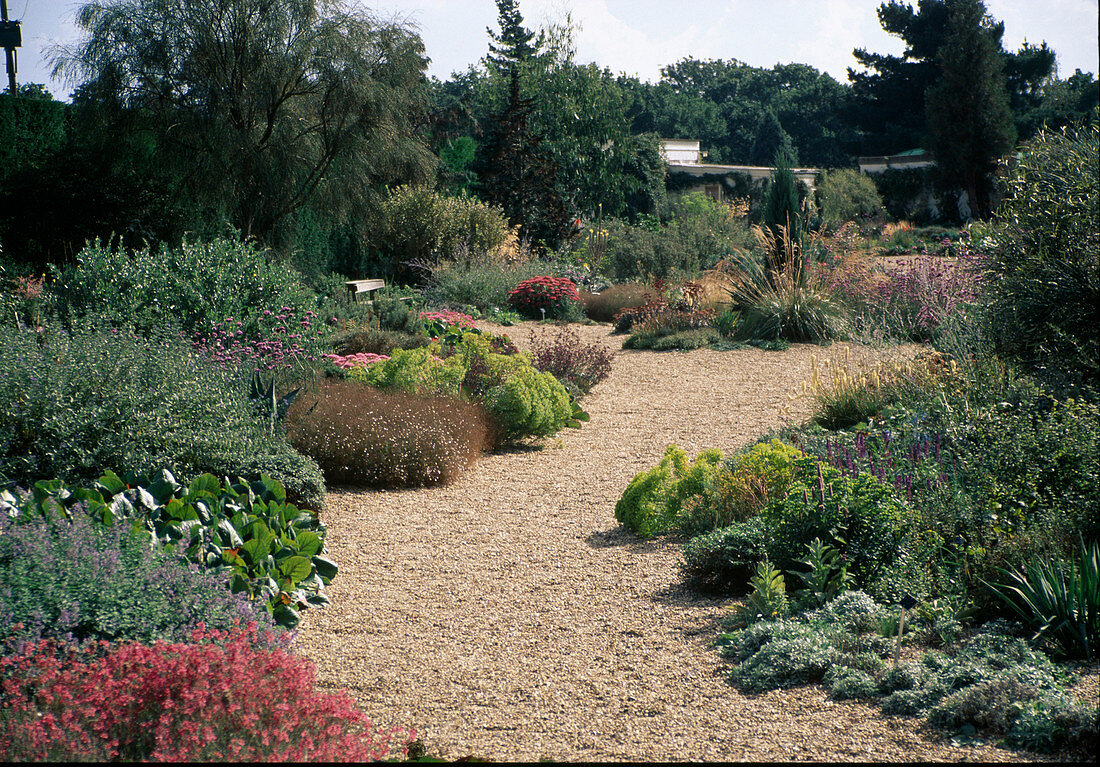 Garden with gravel path