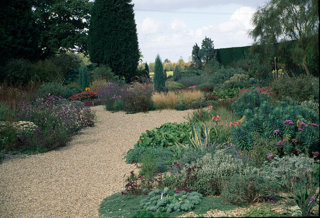 Garden with gravel path