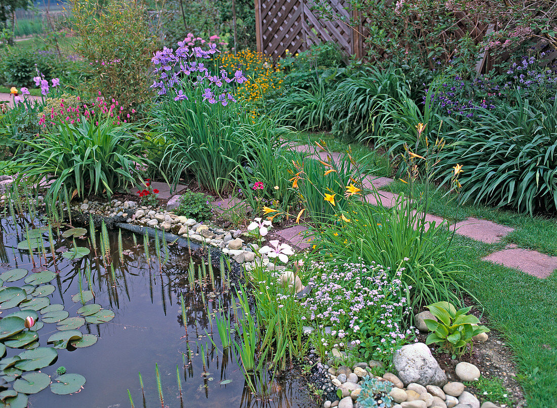Pond with border planting: Hemerocallis graminea (Daylily)