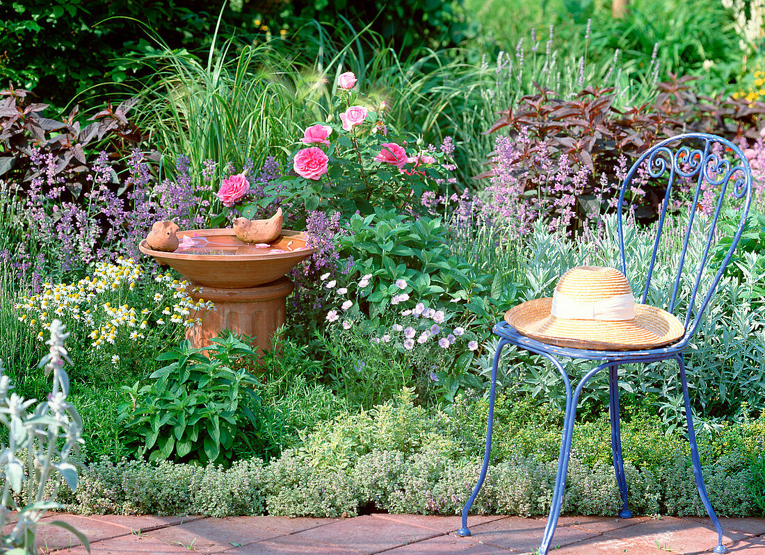 Herb bed, Thymus, Mentha, Melissa, Origanum