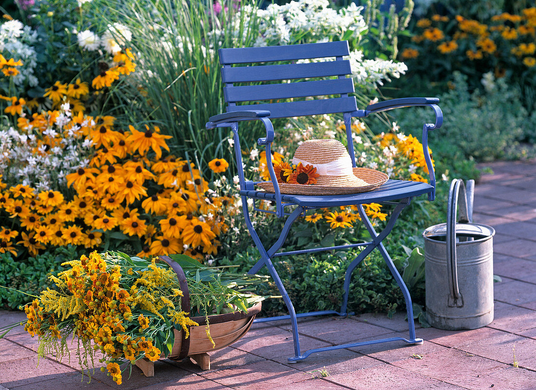 Rudbeckia hirta 'Marmalade', Dahlia 'Cactus' White