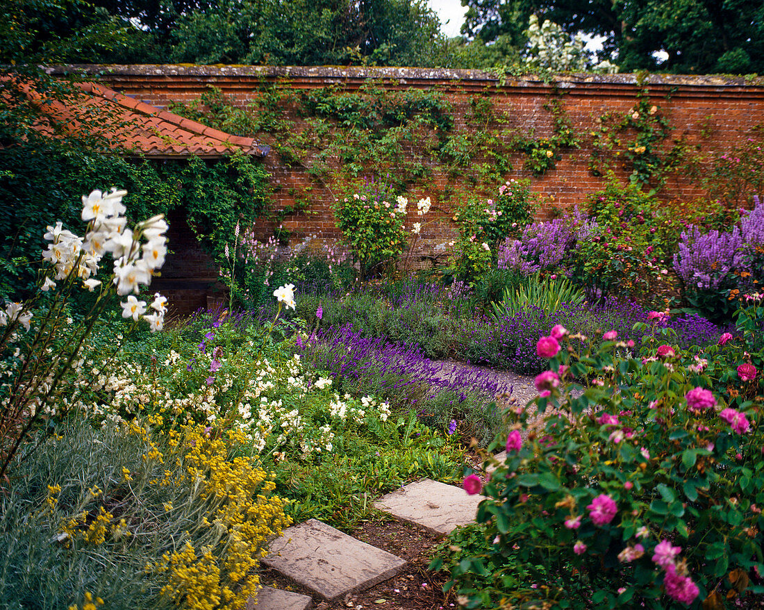 Garden view with roses, Madonna lily and lavender