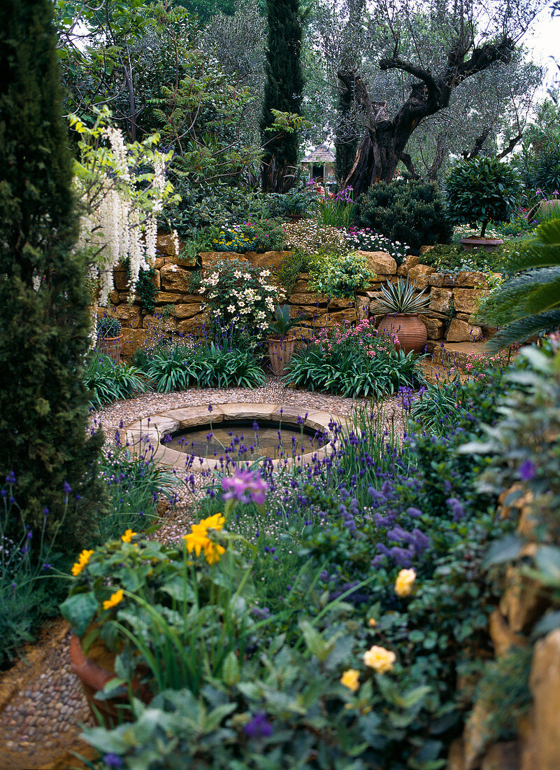 Mediterranean garden at the Chelsea Flower Show