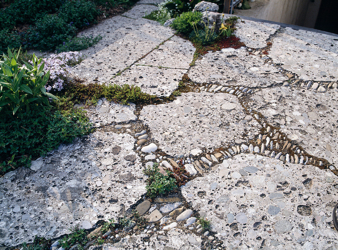 Paving, natural stone, conglomerate, joints with pebbles