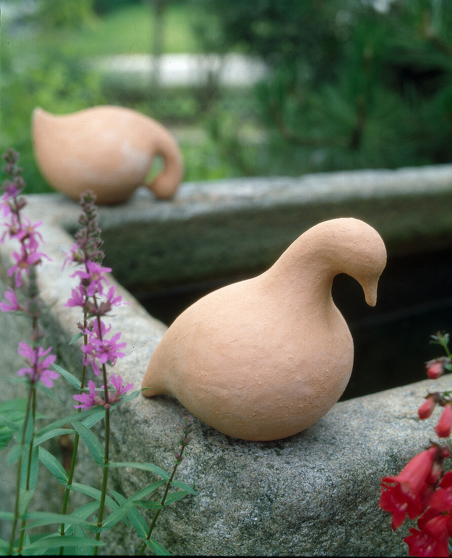 Doves on a granite trough