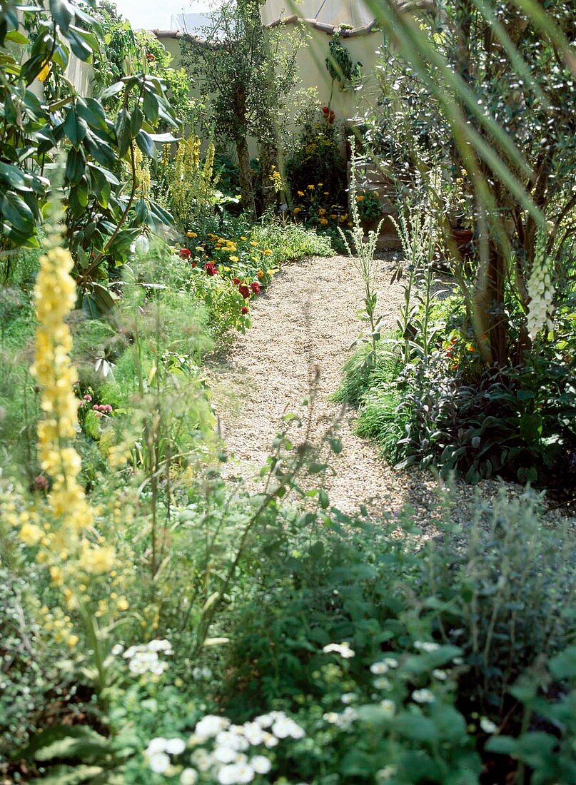 Gravel path in the small city garden